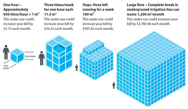 Irrigation Leak Infographic