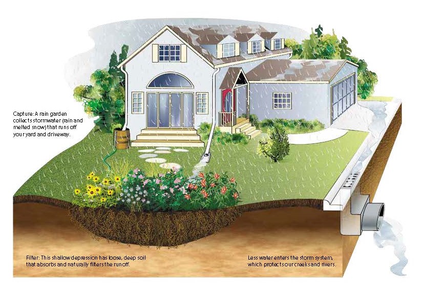 Infographic Example of a Rain Garden for a Residential Home
