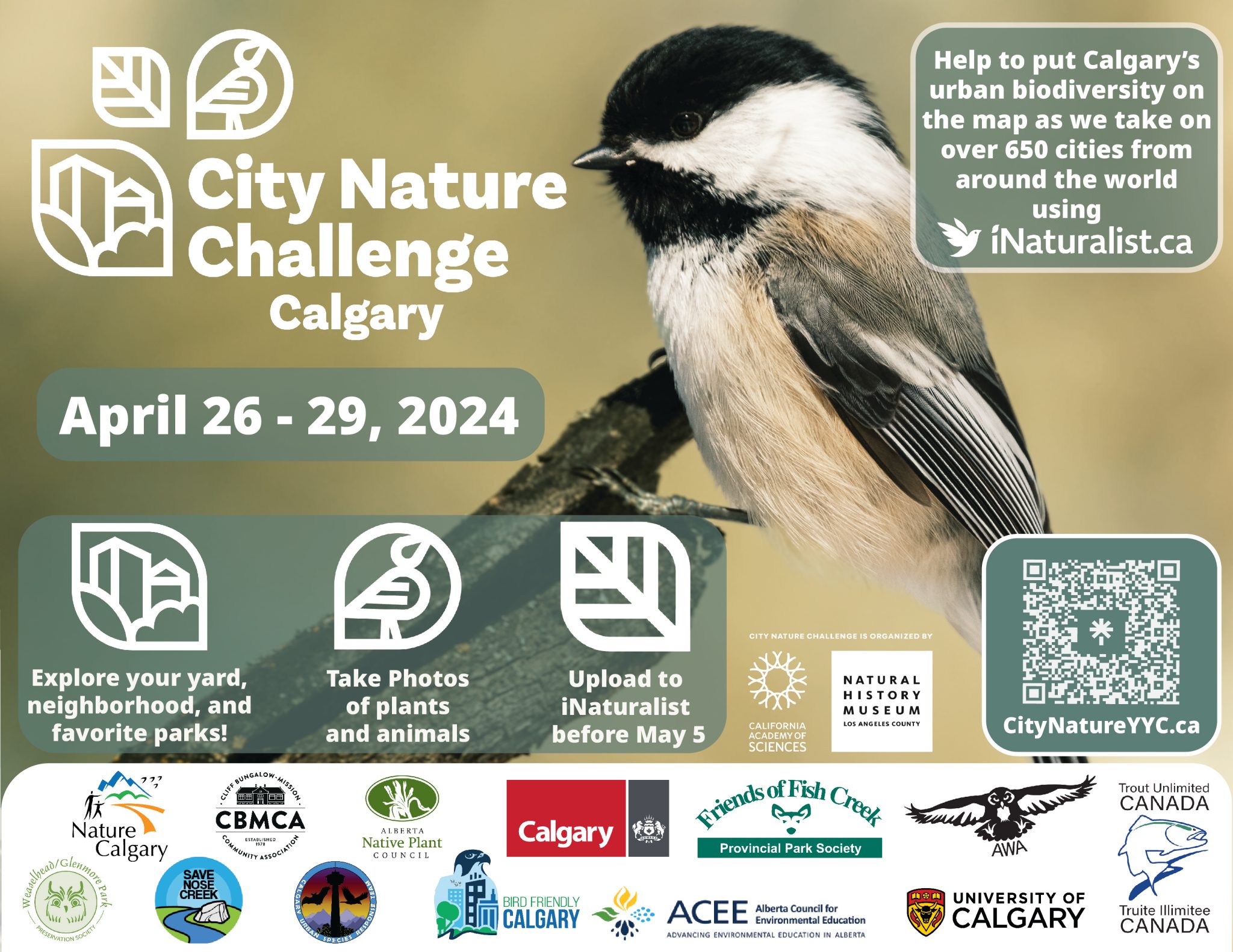 City nature challenge Calgary. April 26 - 29