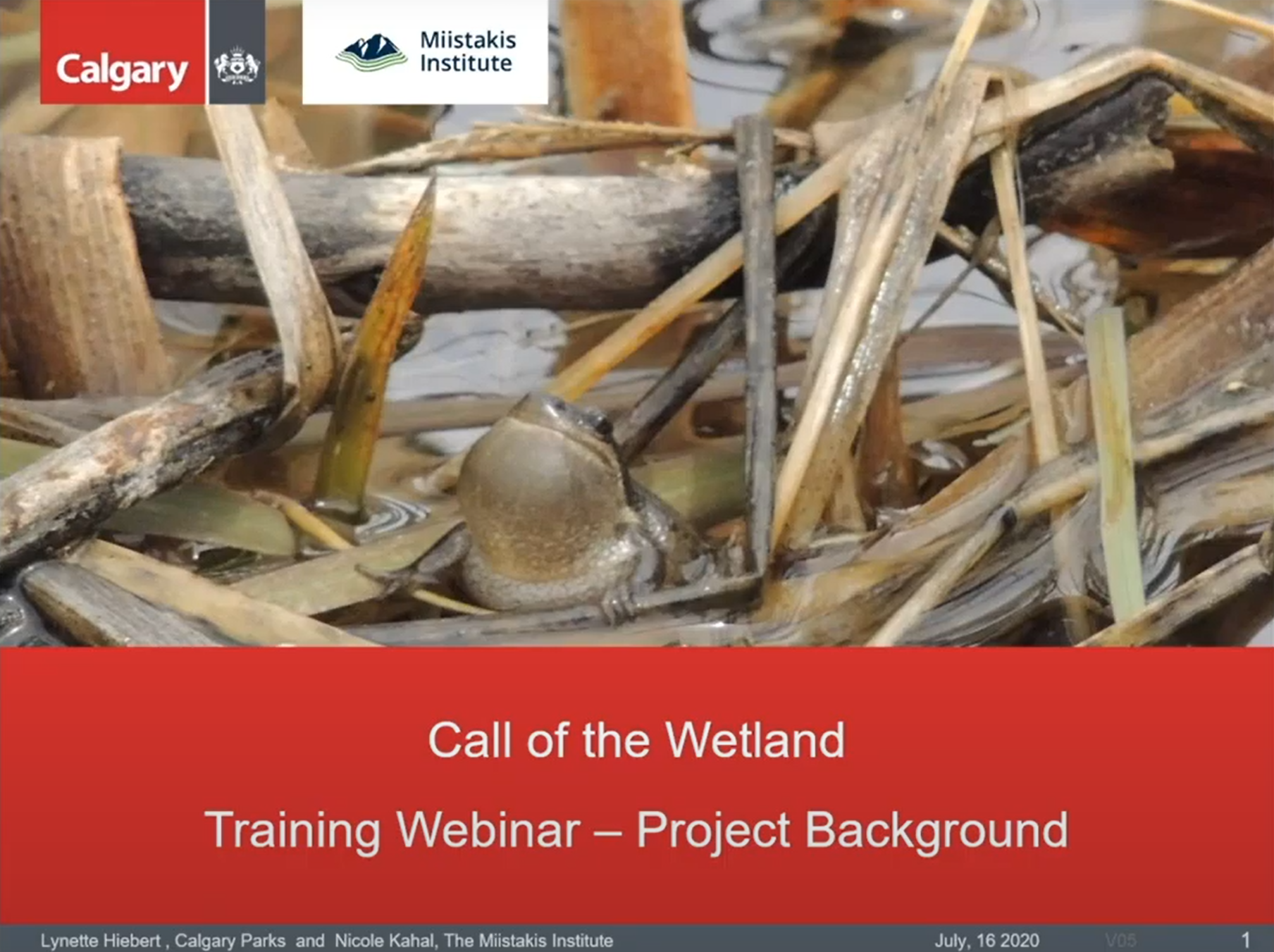 Call of the Wetland Training Webinar