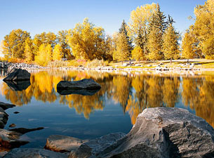 Prince's Island Park by Ferdinand Floresca