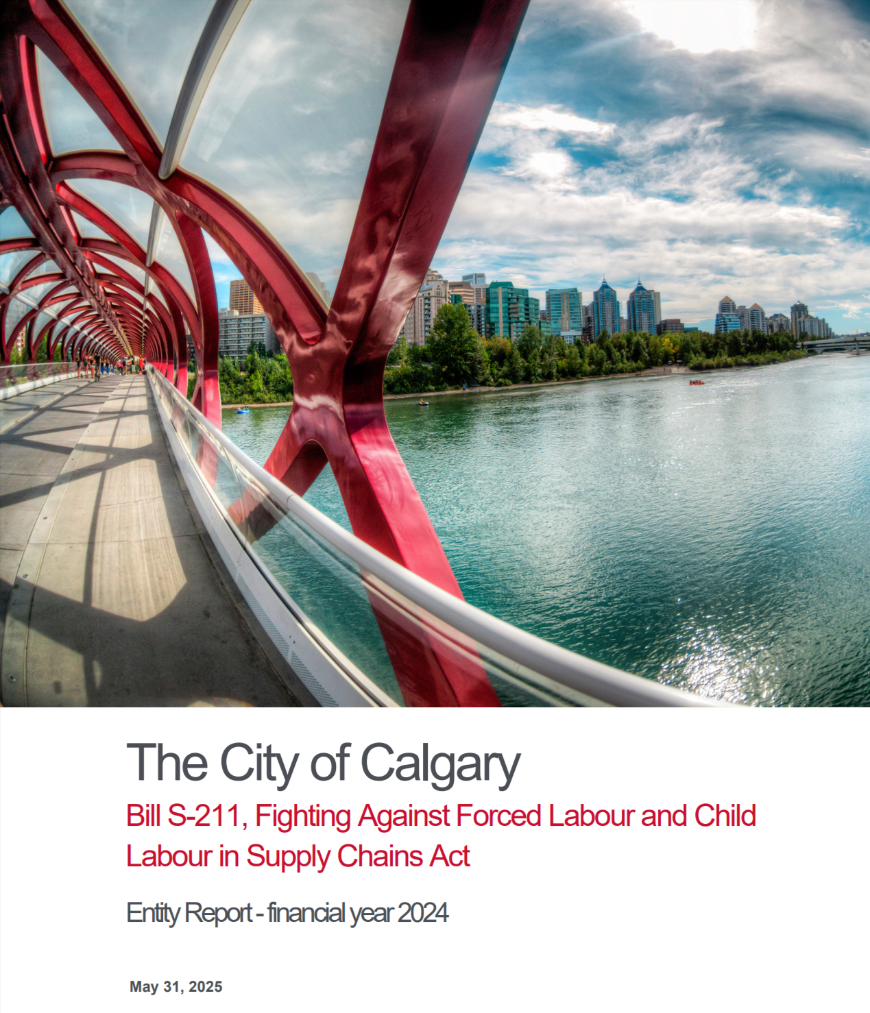 2023-report-bill-S-211-fighting-against-forced-labour