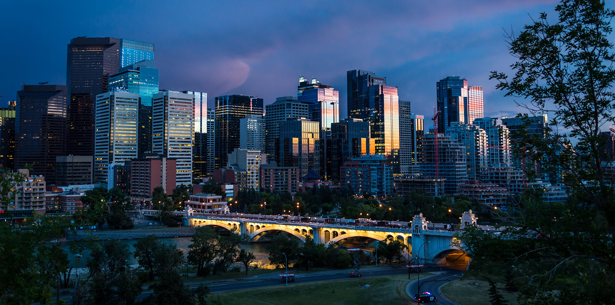 Organizational Health, Safety & Wellness plan and budget