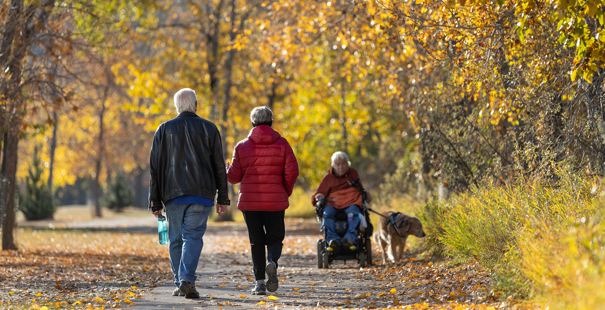 Parks & Open Spaces plan and budget