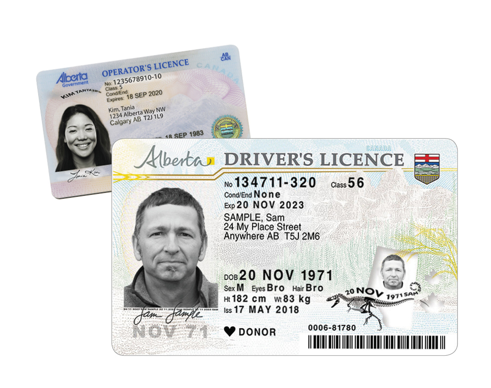 Driver's Licence