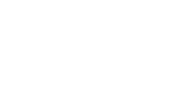 Safer Calgary - Operation Order