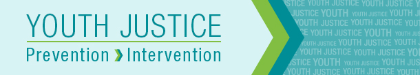 Youth Justice Services