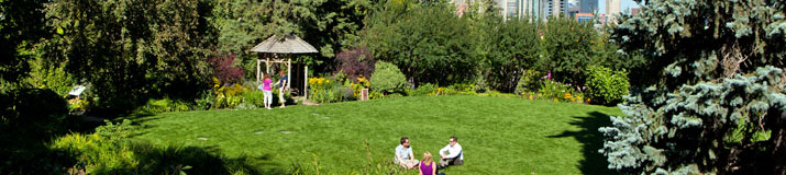Main lawn area