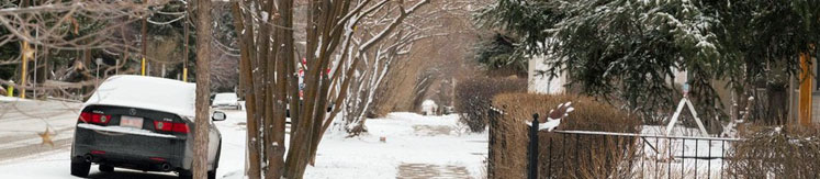 winter