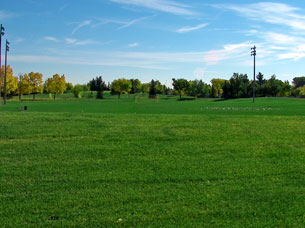 Forest Lawn Athletic Park