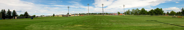 Forest Lawn Athletic Park