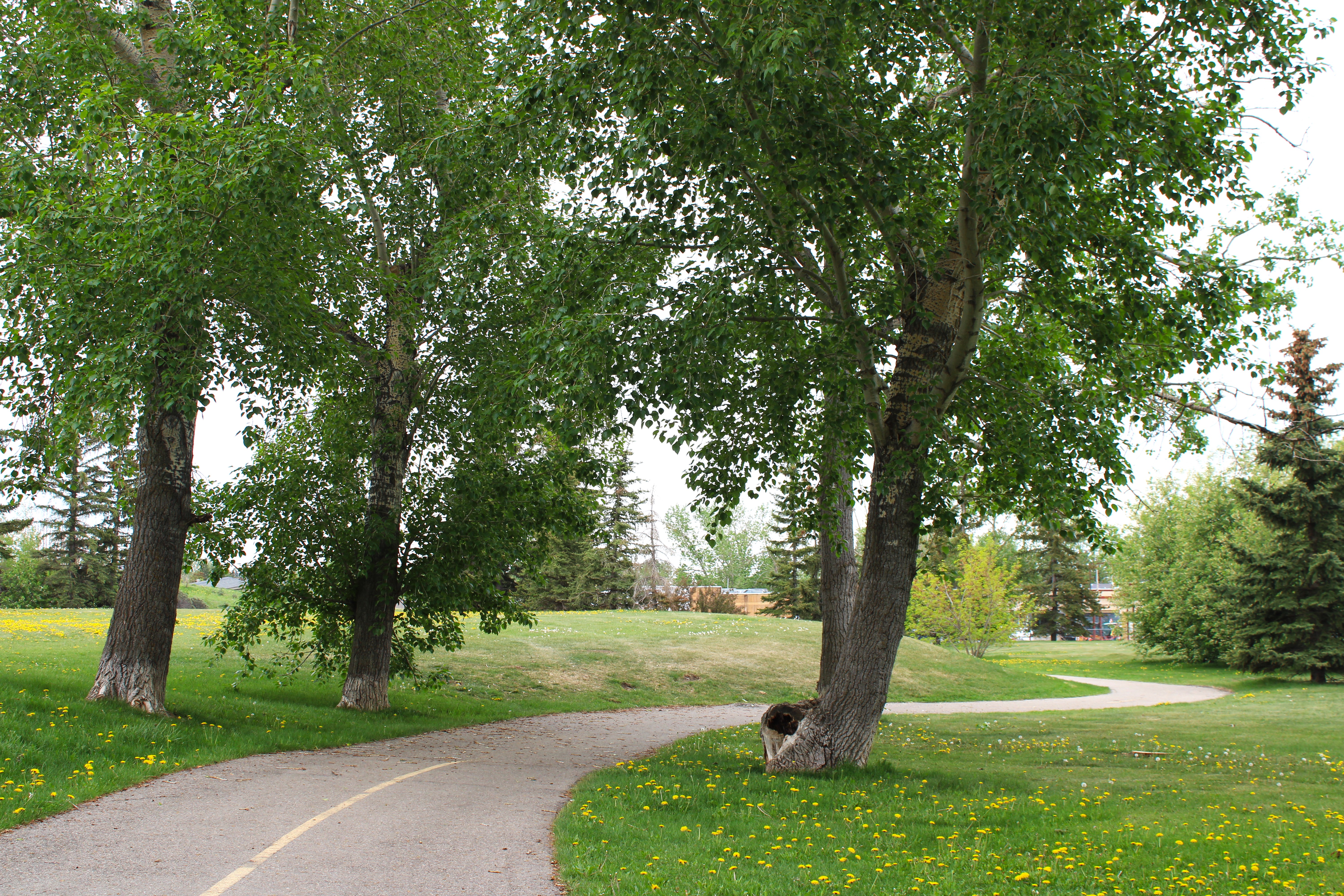Ranchlands Park