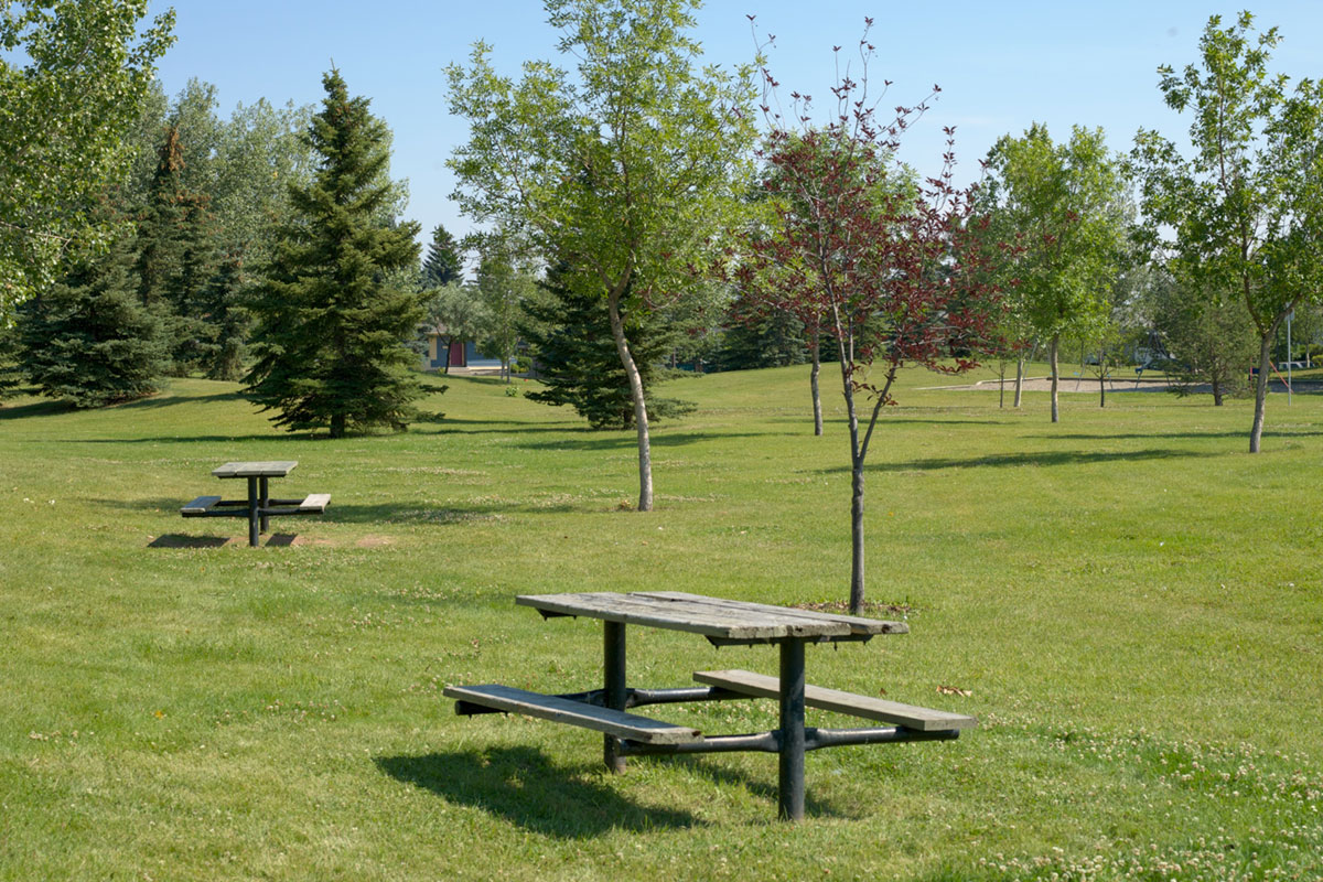 Book a picnic site