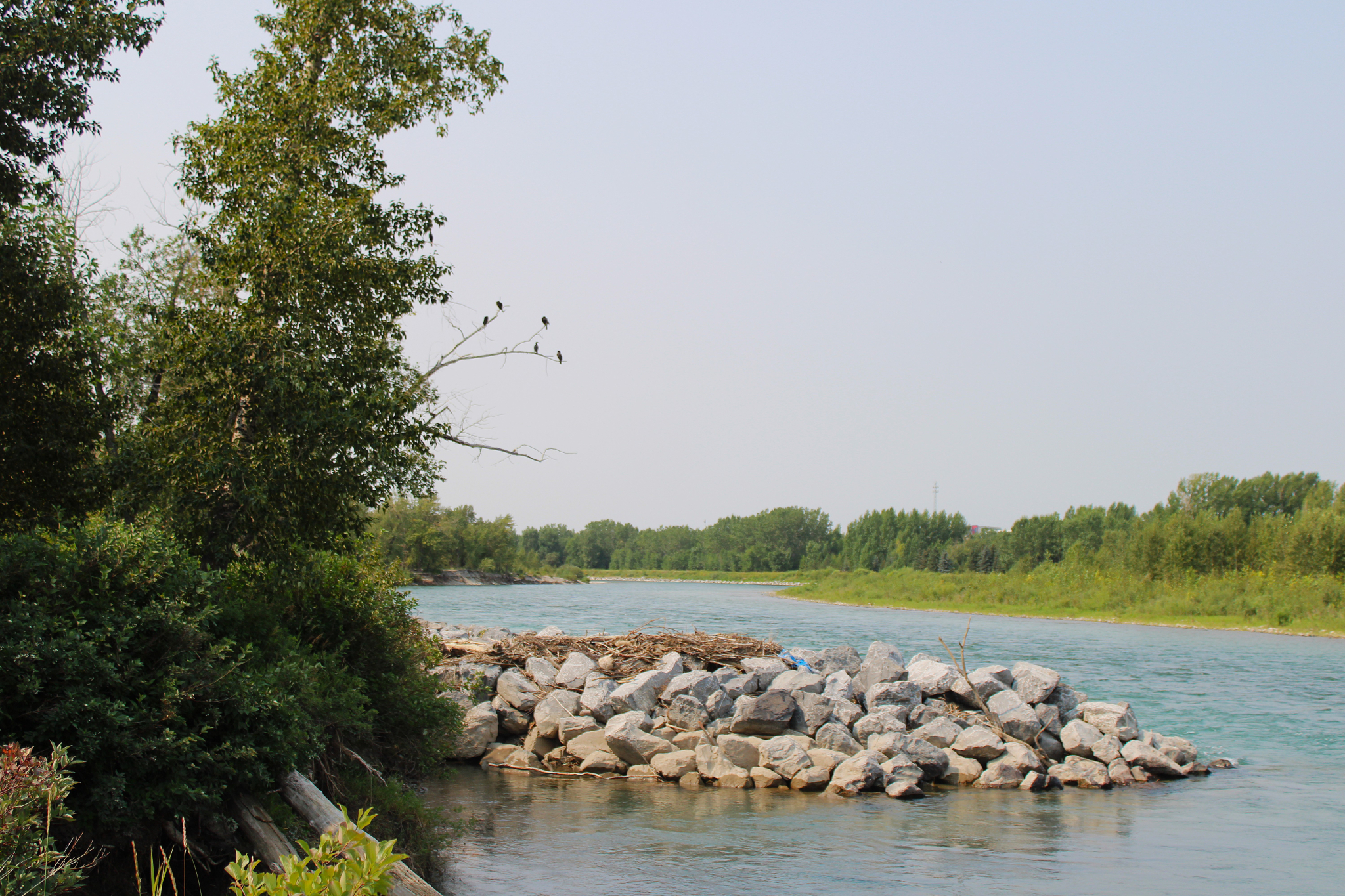 Beaver Dam Flats