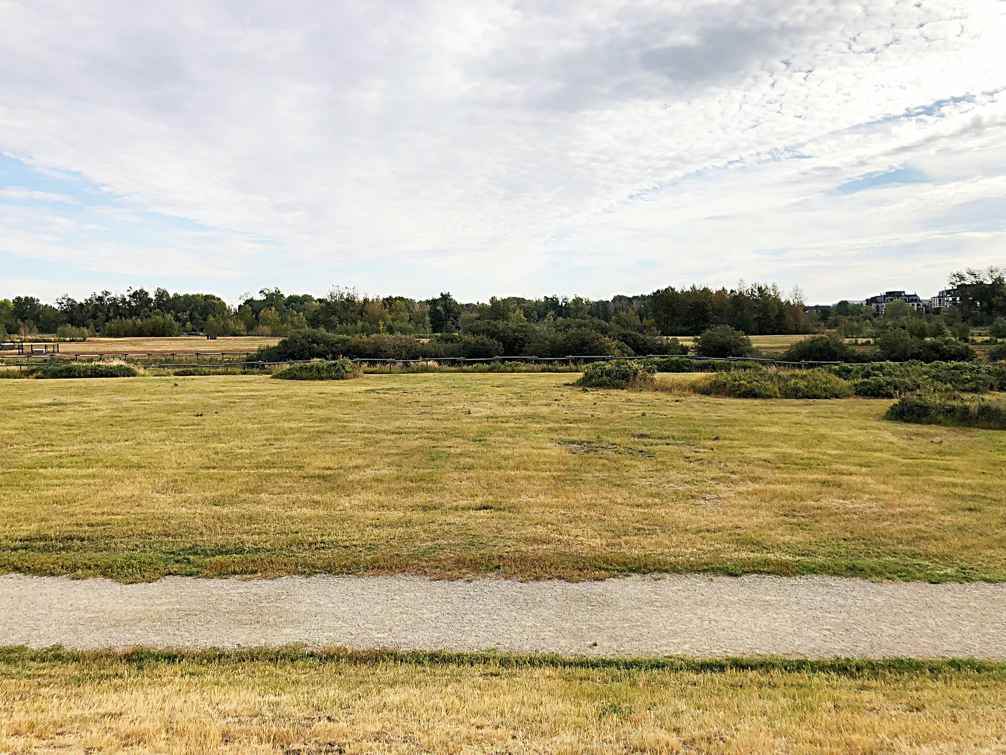 Sue Higgins Park