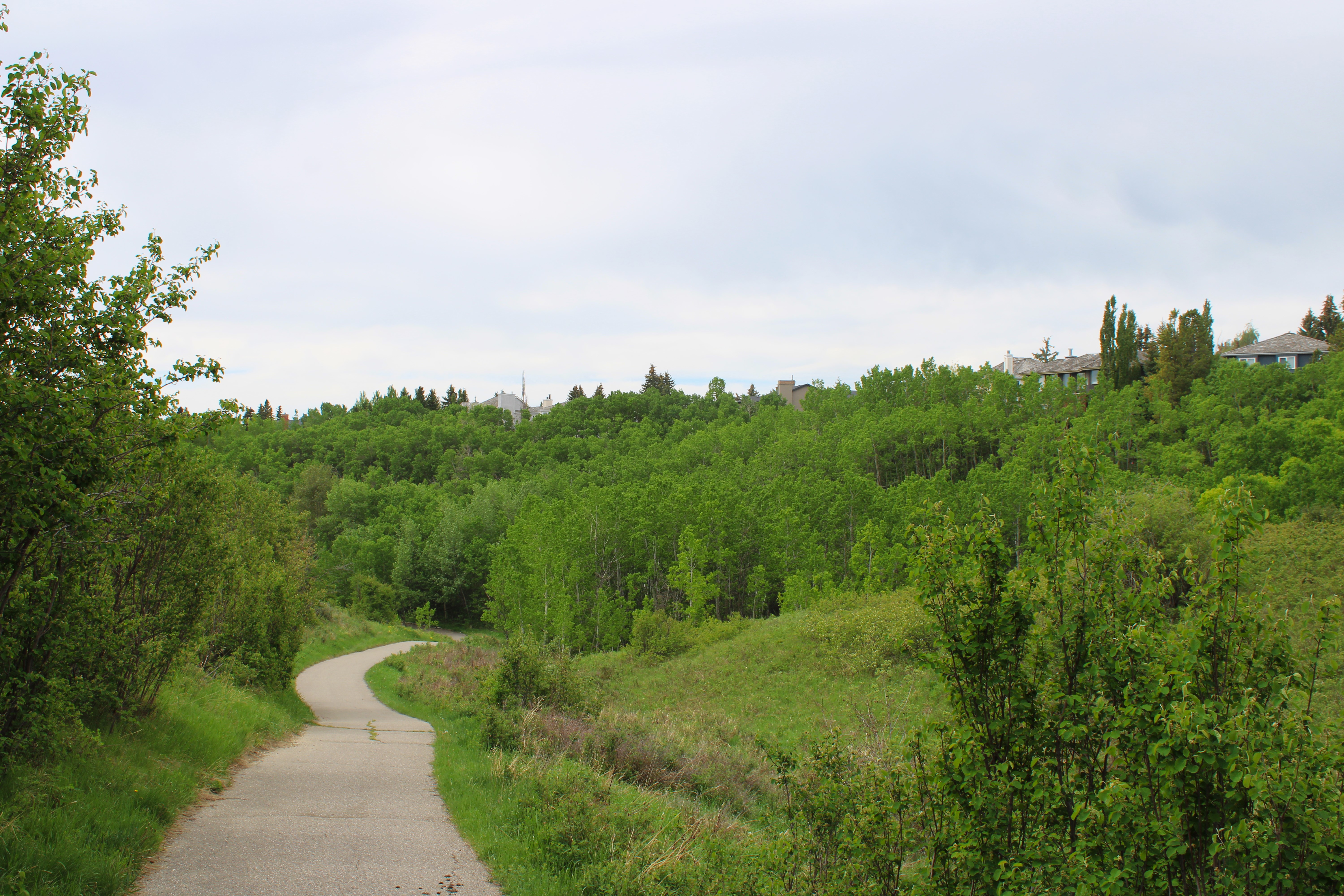 Strathcona Ravine
