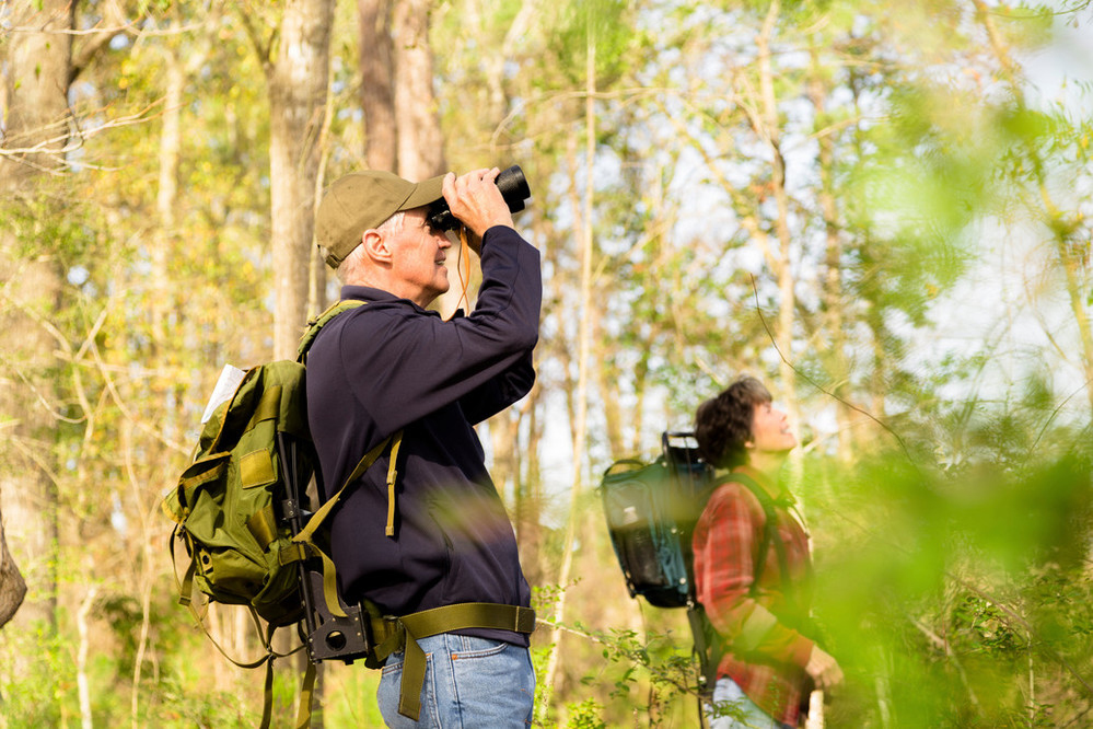 Bird Watching in Nature