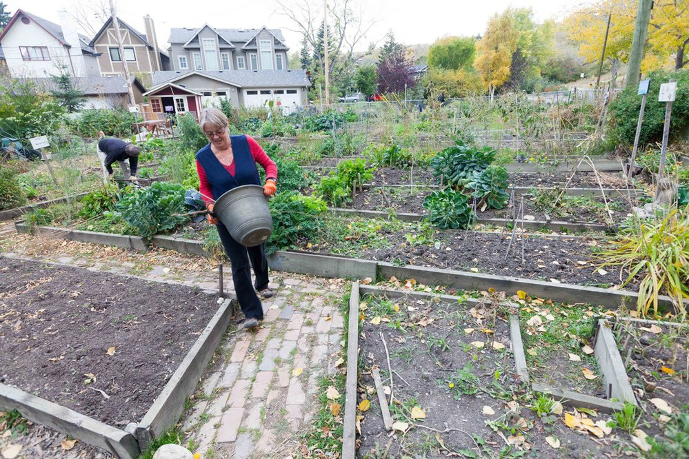 Calgary's Climate Program