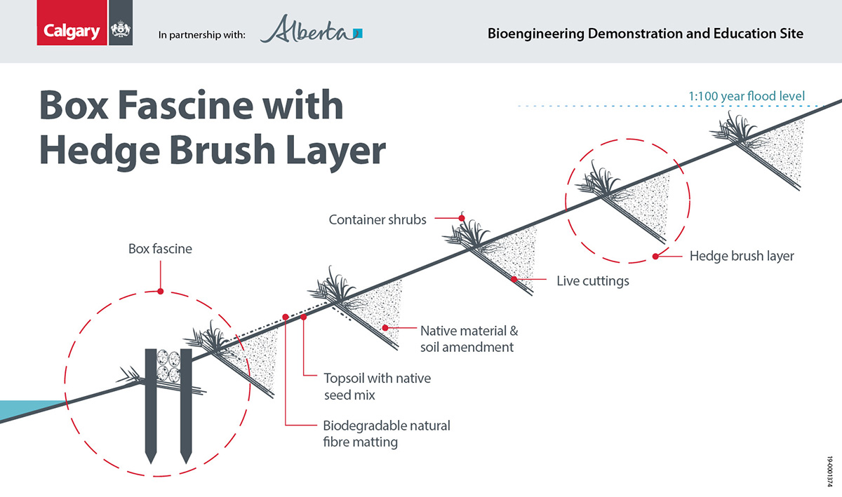 Hedge brush layers