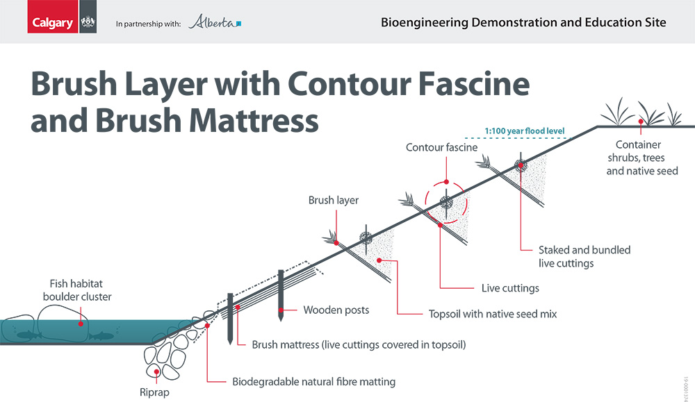 Brush mattress with Contour fascine