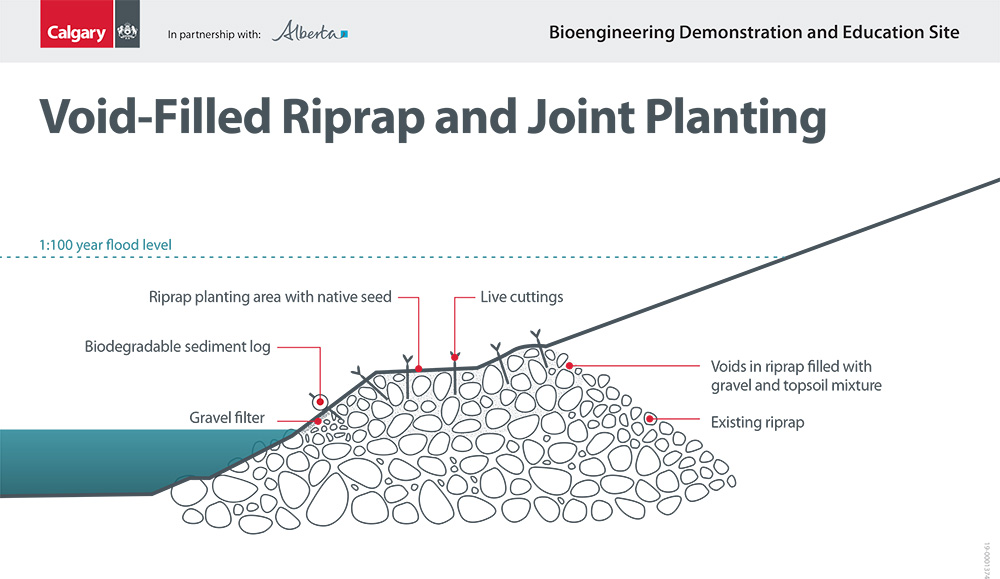 Void-filled Riprap with Joint Plantings