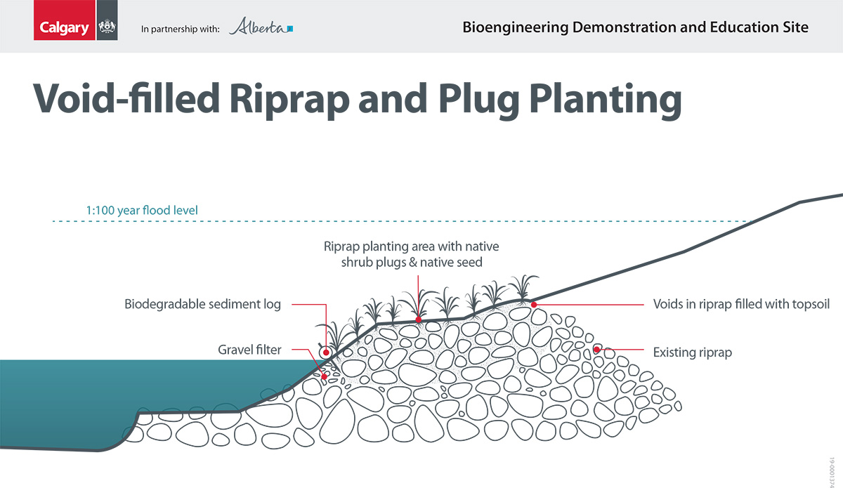 Void-filled Riprap with Plug Plantings