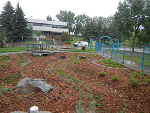 Bridgeland Rain Garden Example