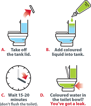 Leaky toilet test