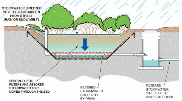 Engineered Rain Garden Infographic Showing Parts of Rain Garden Structure