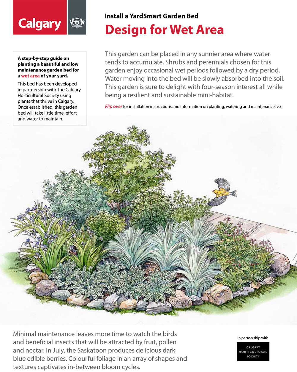 How to care for your lawn