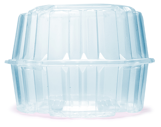 Plastic clamshell container