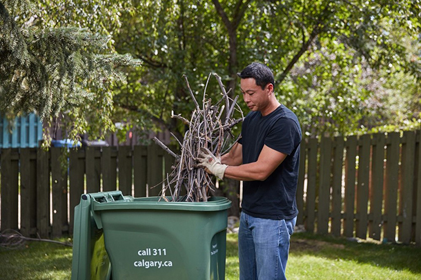 Use paper yard waste bags if your green cart is full