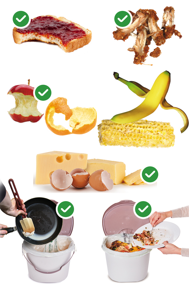 Food YES