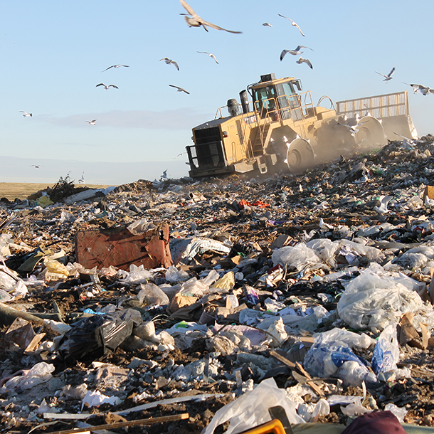 Calgary recycling facts