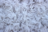 Asbestos