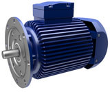 Electric motor