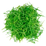 Grass clippings