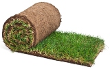 Sod and loam