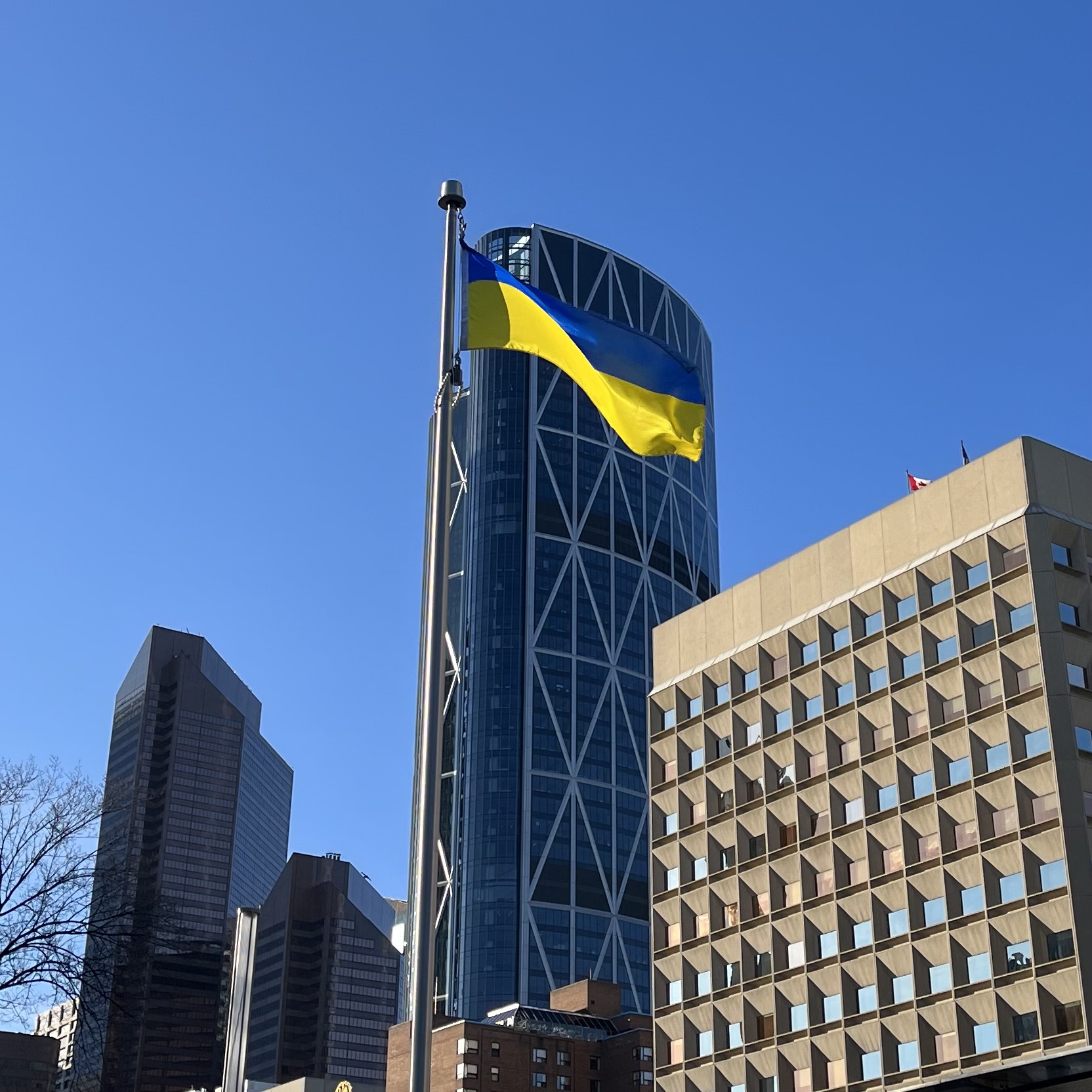 Ukranian flag flying at the Municipal Plaza