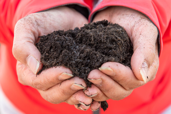 compost