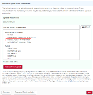 step-11-optional-application-submission-1.png