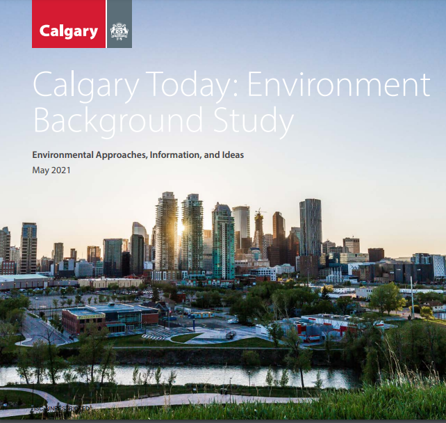 Download the Environment Background Study