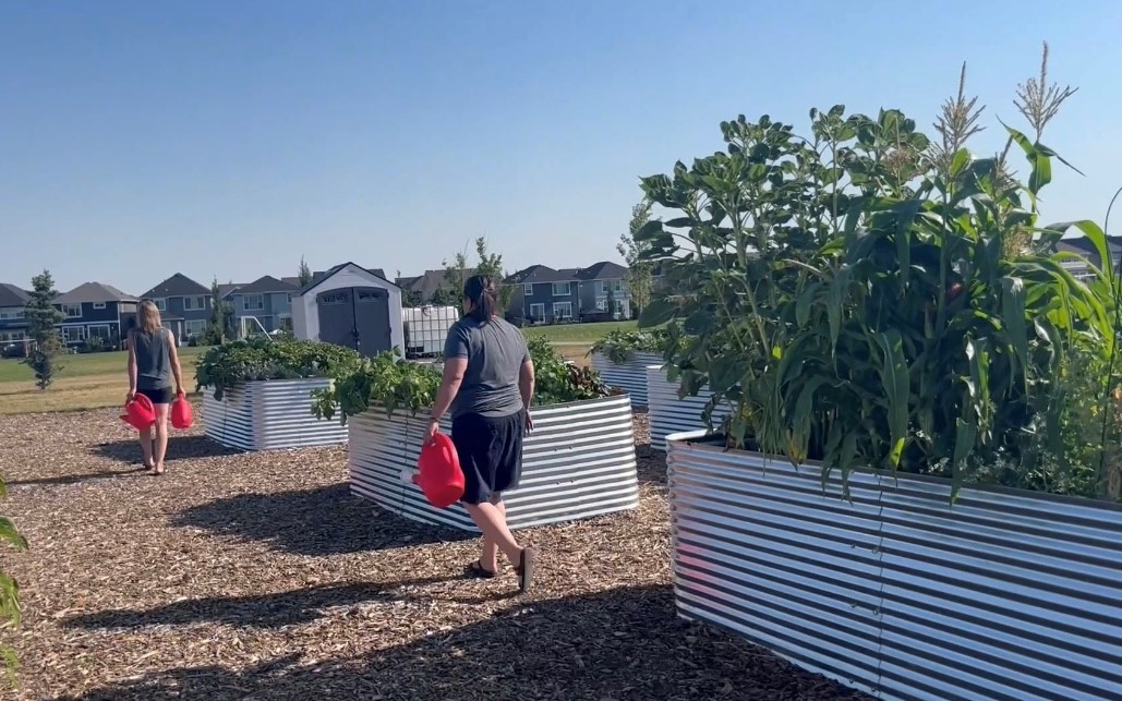 Hands-on growing urban gardens
