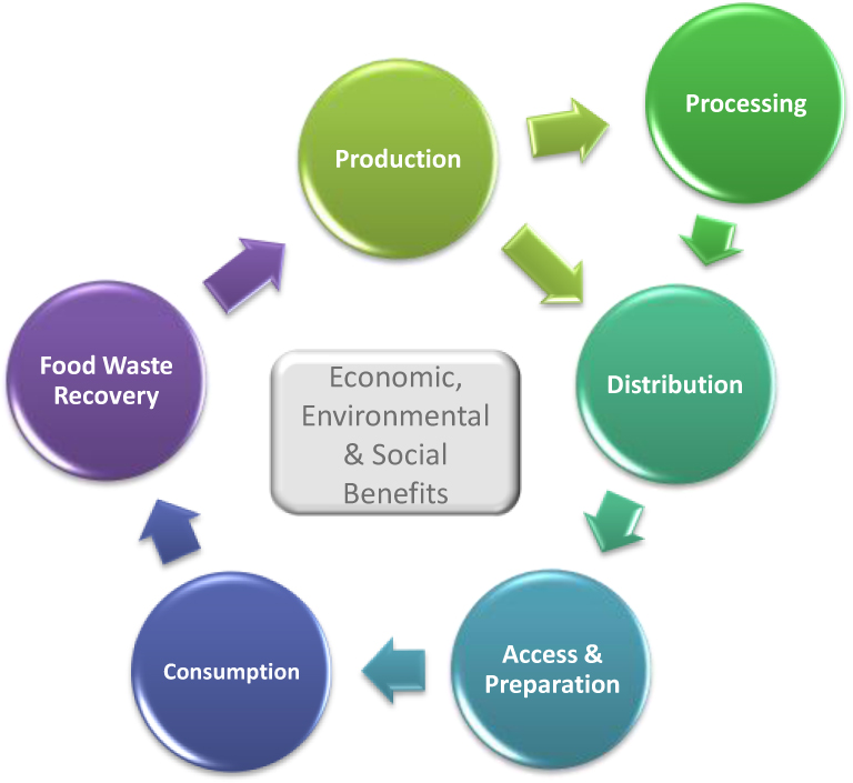 components of food system