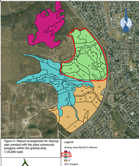 Nose Hill Goat grazing map