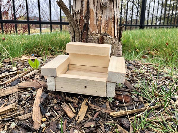 squirrel table