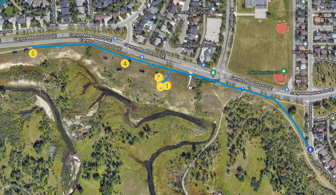 map image