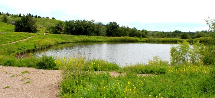 Stormwater pond