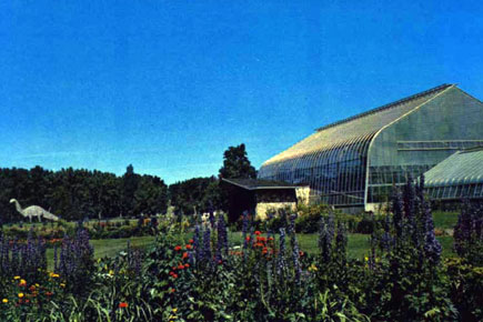 St. George's Island conservatory postcard