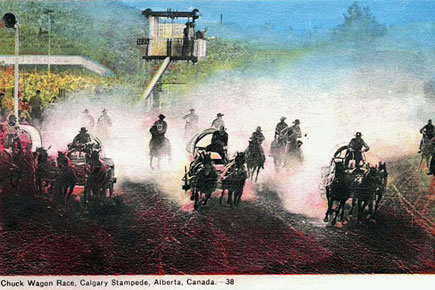Victoria Park chuckwagons postcard